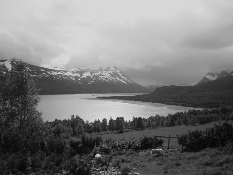 Sauer ved Gjevilvatnet 2