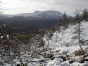 Tidlig vinter Oppdal