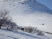 Lita hytte og stort fjell